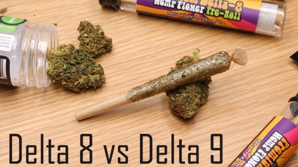 Do You Know Your THC? A Guide to Delta-8 vs. Delta-9