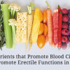 Micronutrients that Promote Blood Circulation & Promote Erectile Functions in Men (2)