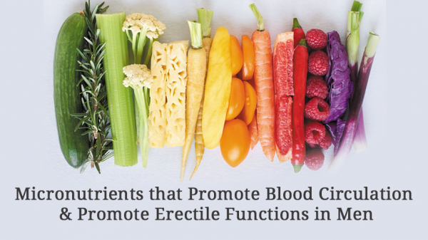 Micronutrients that Promote Blood Circulation & Promote Erectile Functions in Men (2)