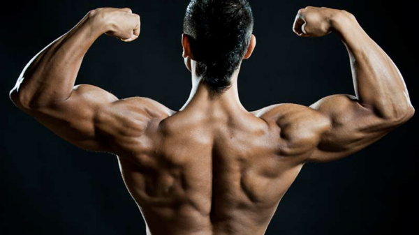 Factors to Consider When Buying Steroids Online