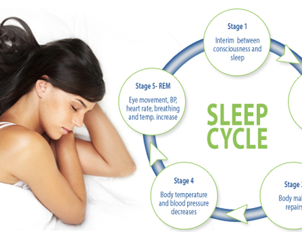 REM Sleep: The Paradoxical Stage of Sleep Cycle