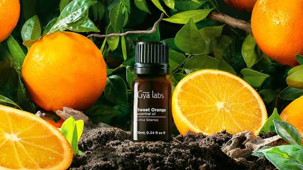 sweet orange essential oil