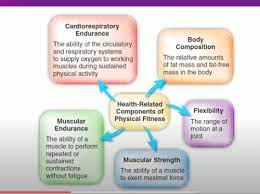 as a person ages, his or her levels of cardiorespiratory fitness tend to __________.